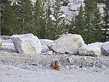 DSCF0183