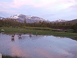 DSCF0197