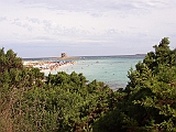P1010046
