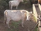 P1010093