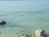 P1010149a