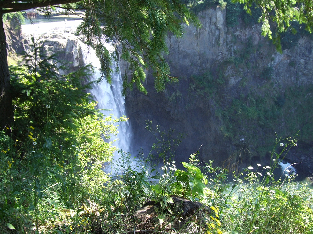 DSCF1138