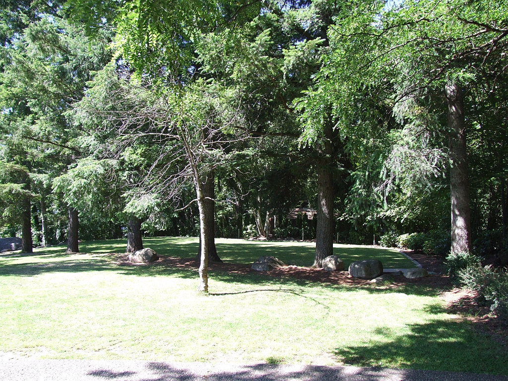 DSCF1139