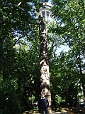 DSCF1161