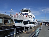 DSCF1234