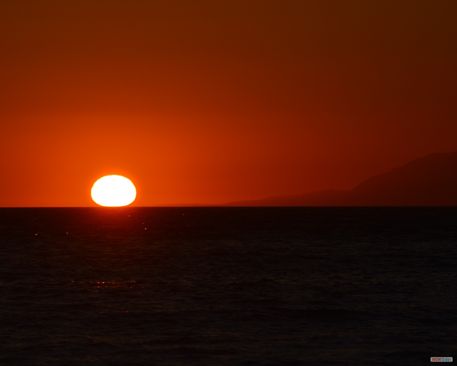 DSC_0094