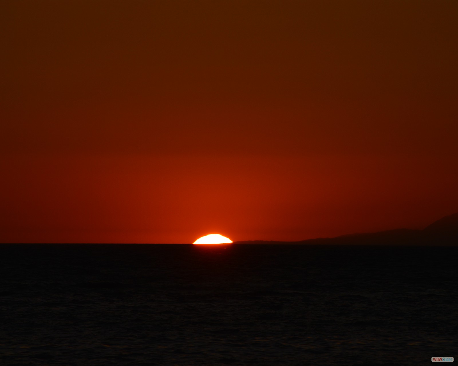 DSC_0101