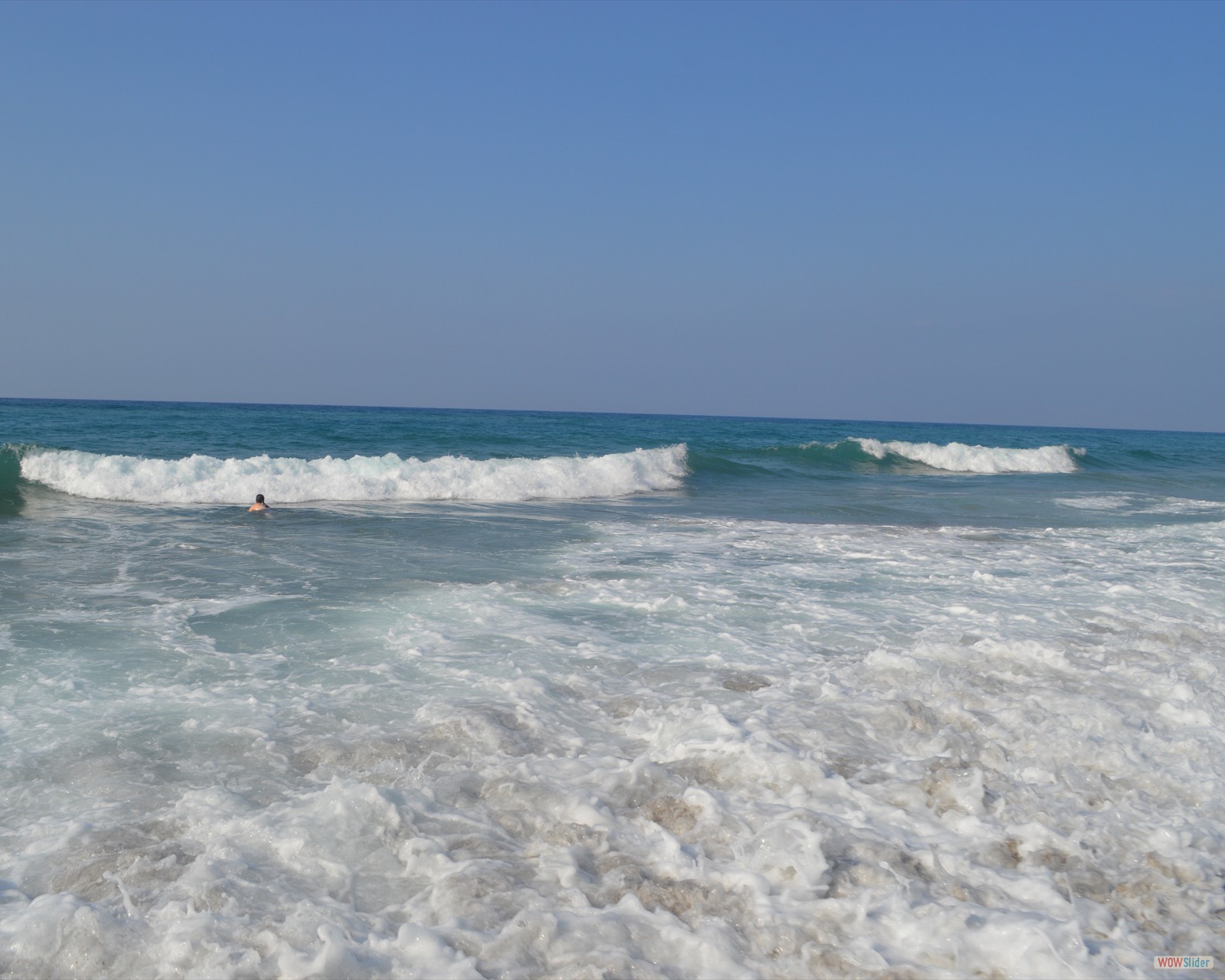 DSC_0504