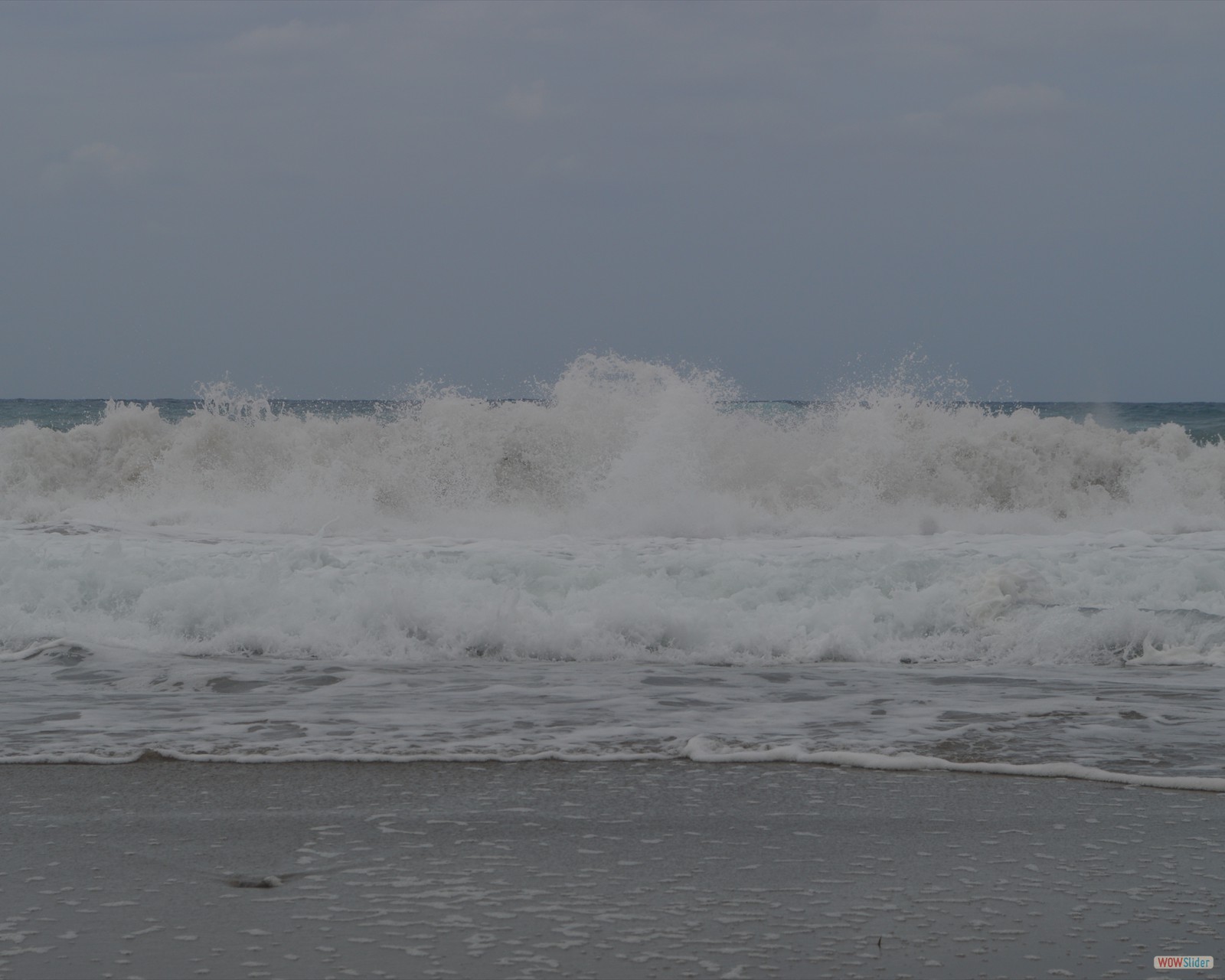 DSC_0606
