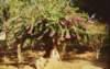dsc_2056_small.jpg