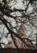 dsc_2084_small.jpg