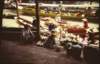 dsc_2087_small.jpg