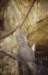 dsc_2120_small.jpg