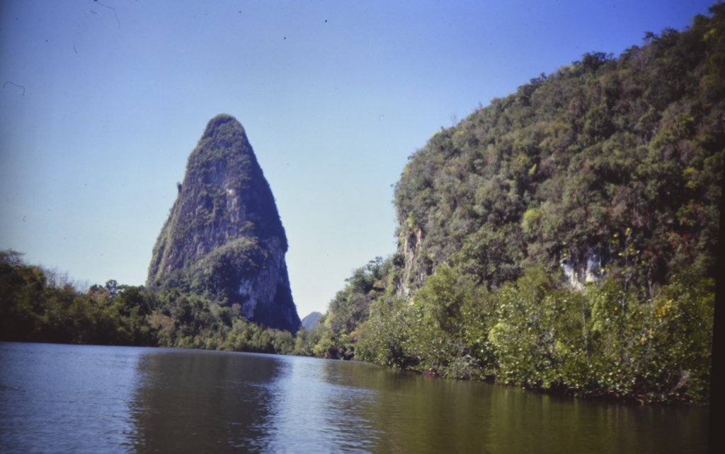 dsc_2128.jpg