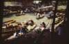 dsc_2159_small.jpg