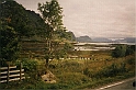 83a