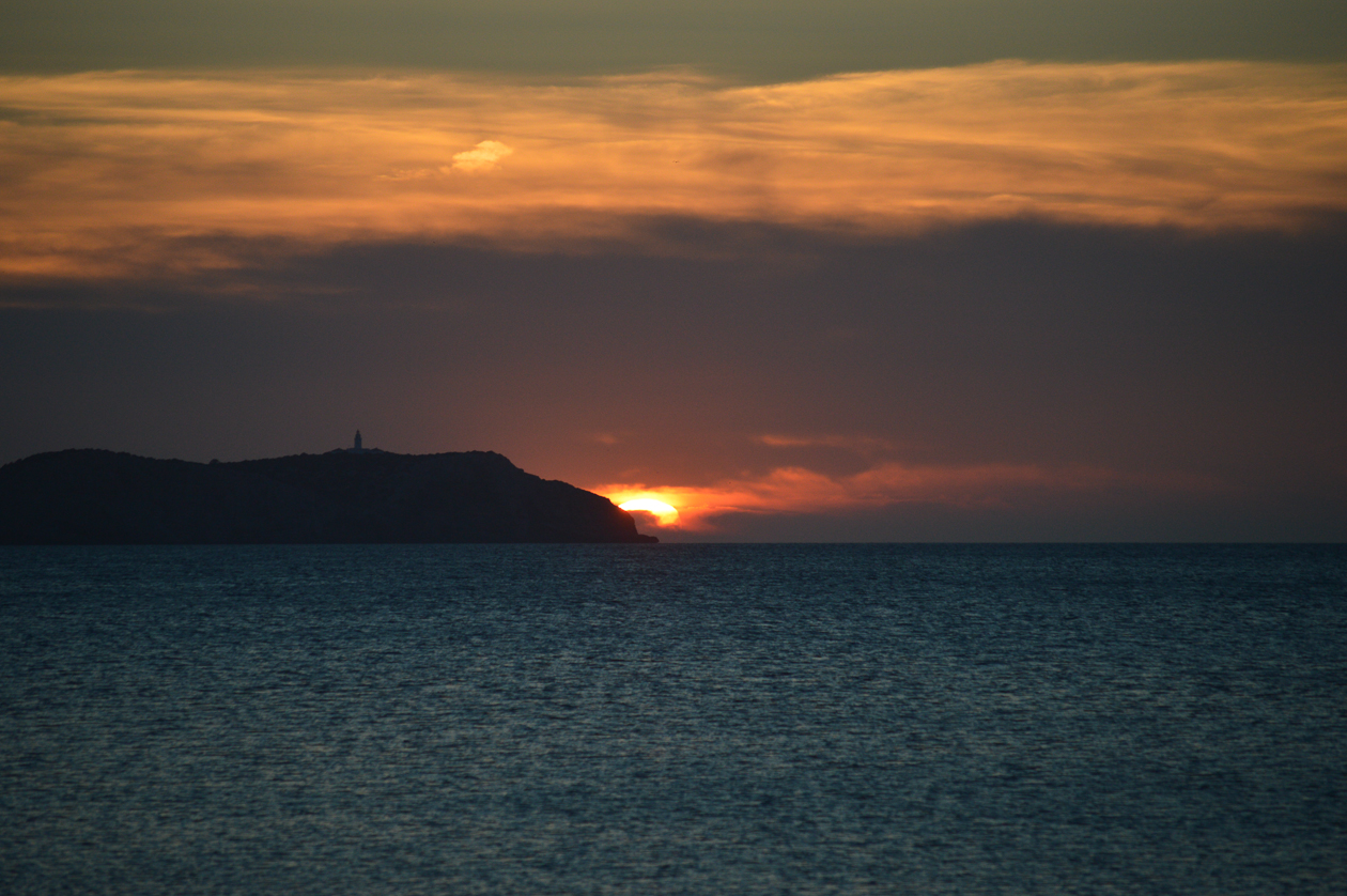 DSC_0198