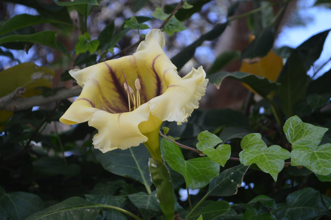 DSC_0228