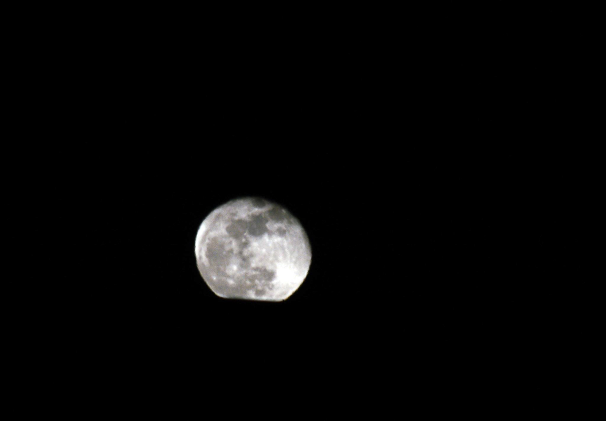 10 / 33