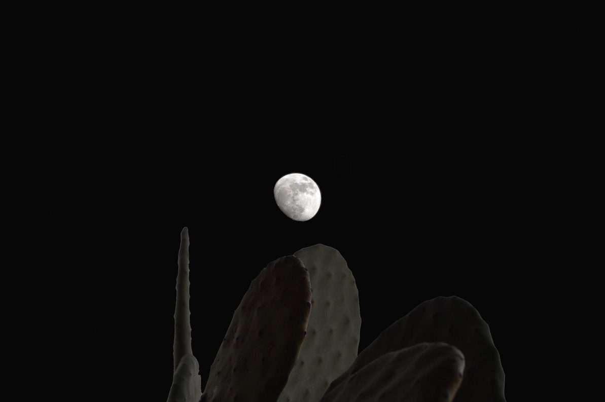 6 / 33