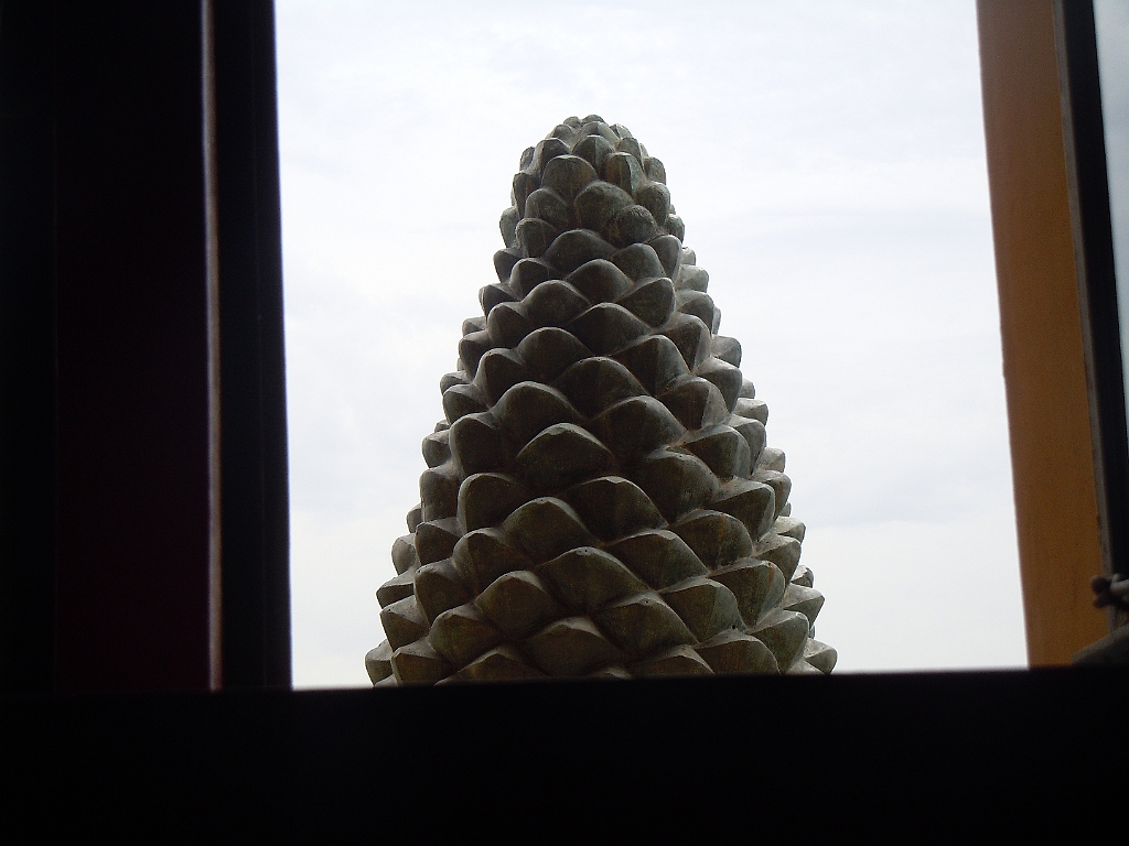 DSCN3978