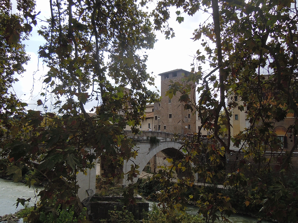 DSCN4039