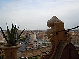 DSCN3960