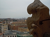DSCN3961