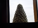 DSCN3978