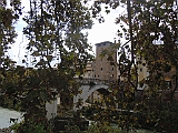 DSCN4039