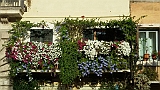 IMG-20150923-WA0009