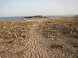 P1010095